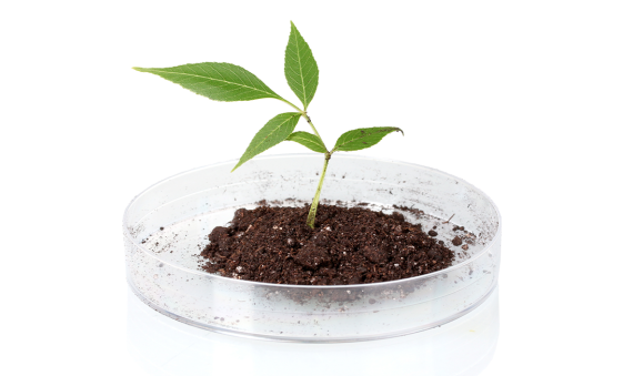 AlgaEnergy-moreaboutalgaenergy